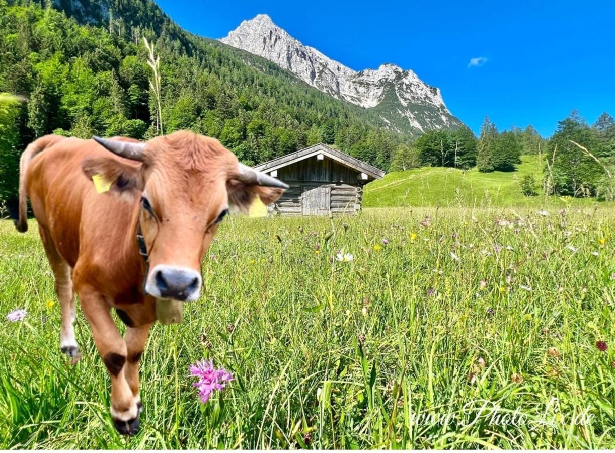 12 - Sparfuchs - Fewo Resi Mittenwald Exterior foto